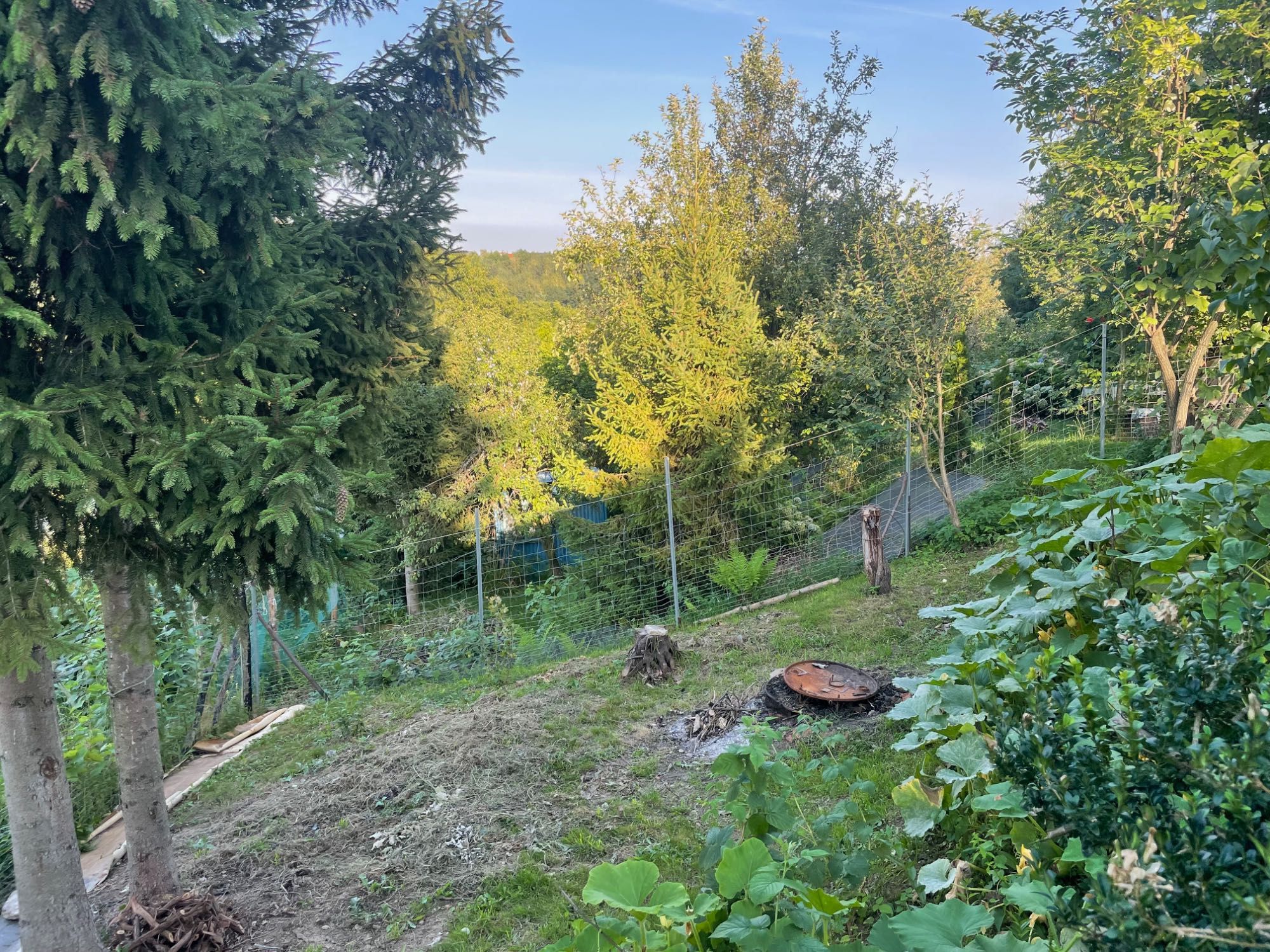 Działka rekreacyjna ROD Trinitatis Bochnia, 306 m2