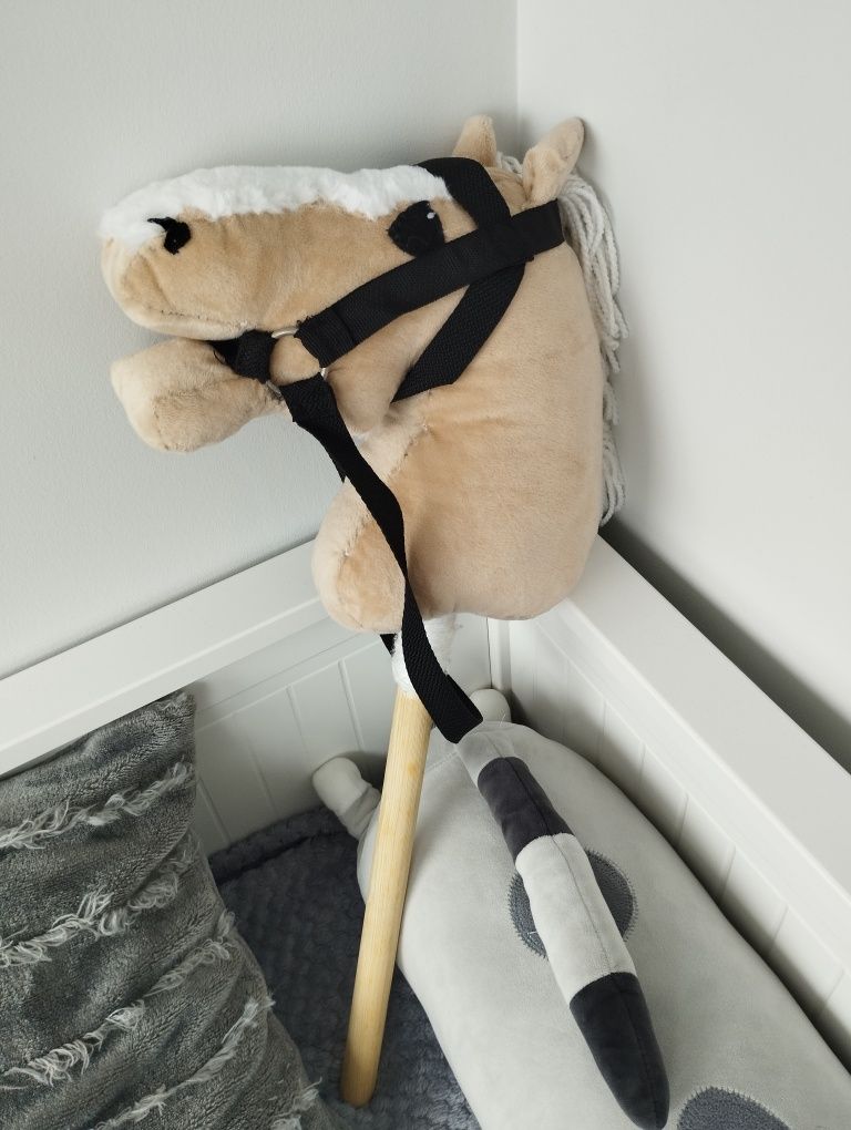 Konik Hobby Horse