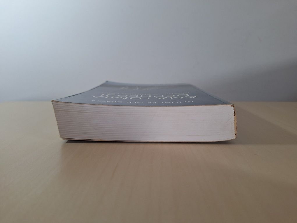 Andrew Solomon Anatomia depresji