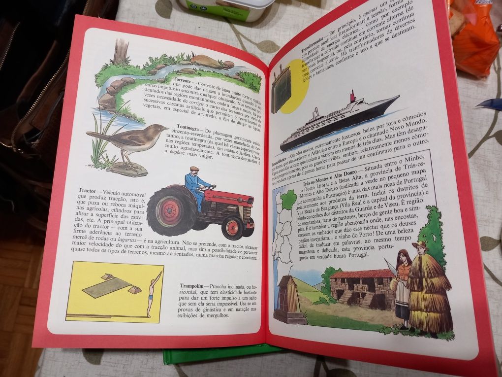 Enciclopédia infantil ilustrada