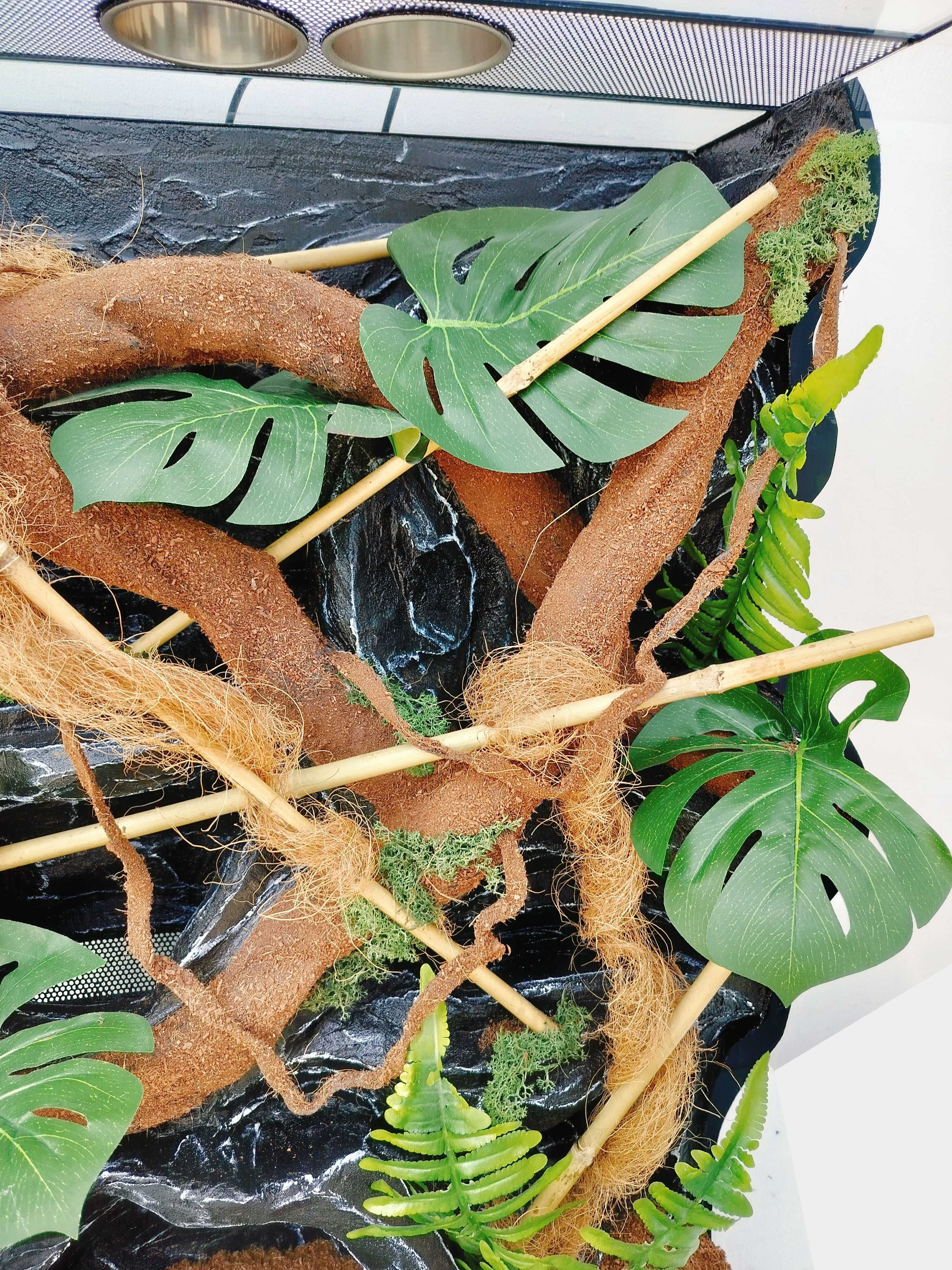 Terrarium dla felsumy, jaszczurki z lampami i wodospadem, AquaWaves