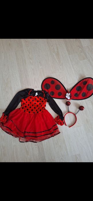 Strój biedronki 104