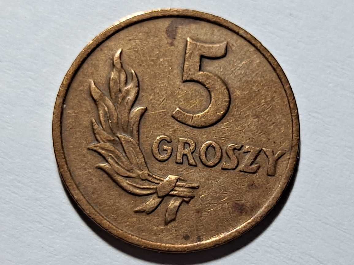 moneta - 5 Groszy  - (Polska)  Rzeczpospolita - 1949 r. - brąz