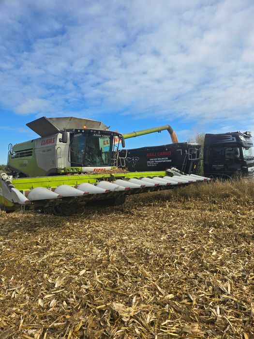 Koszenie Zbiór Ziarno Kukurydza 2025