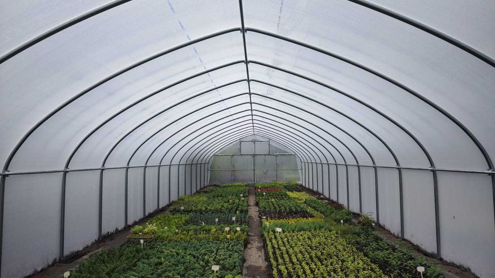 Tunel foliowy 7,5 lub 7m x 30 m gotyk