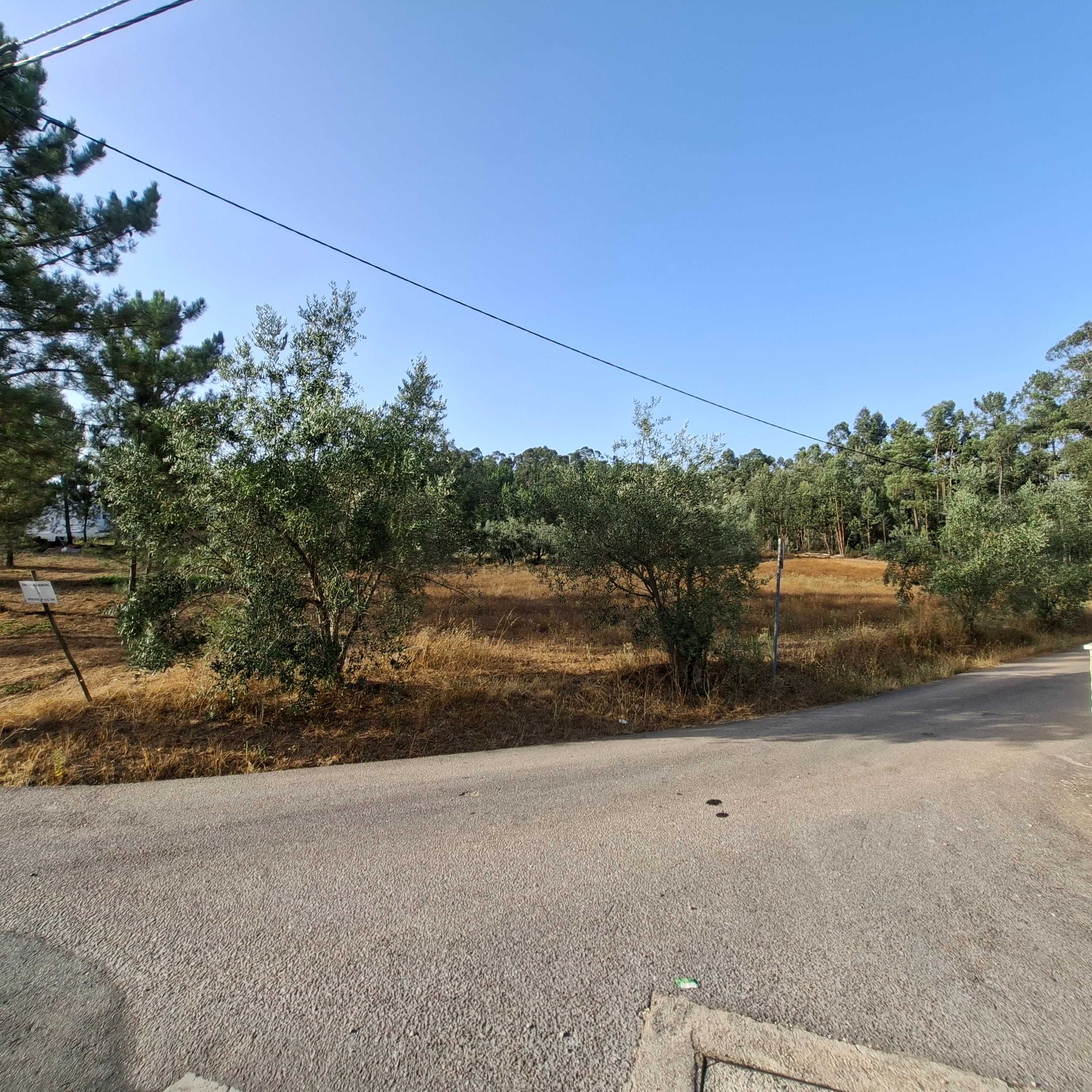 Vendo terreno em Vale Marelo com área aproximada de 9000m2"