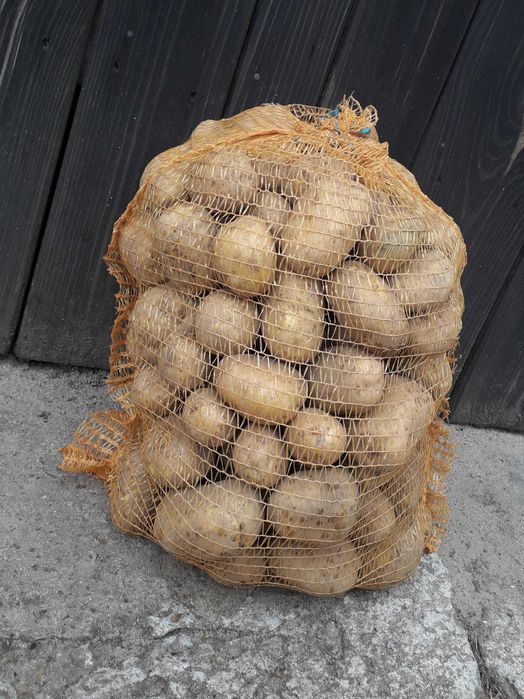 ziemniaki jadalne soraja, Queen Anna, vineta i odpadowe