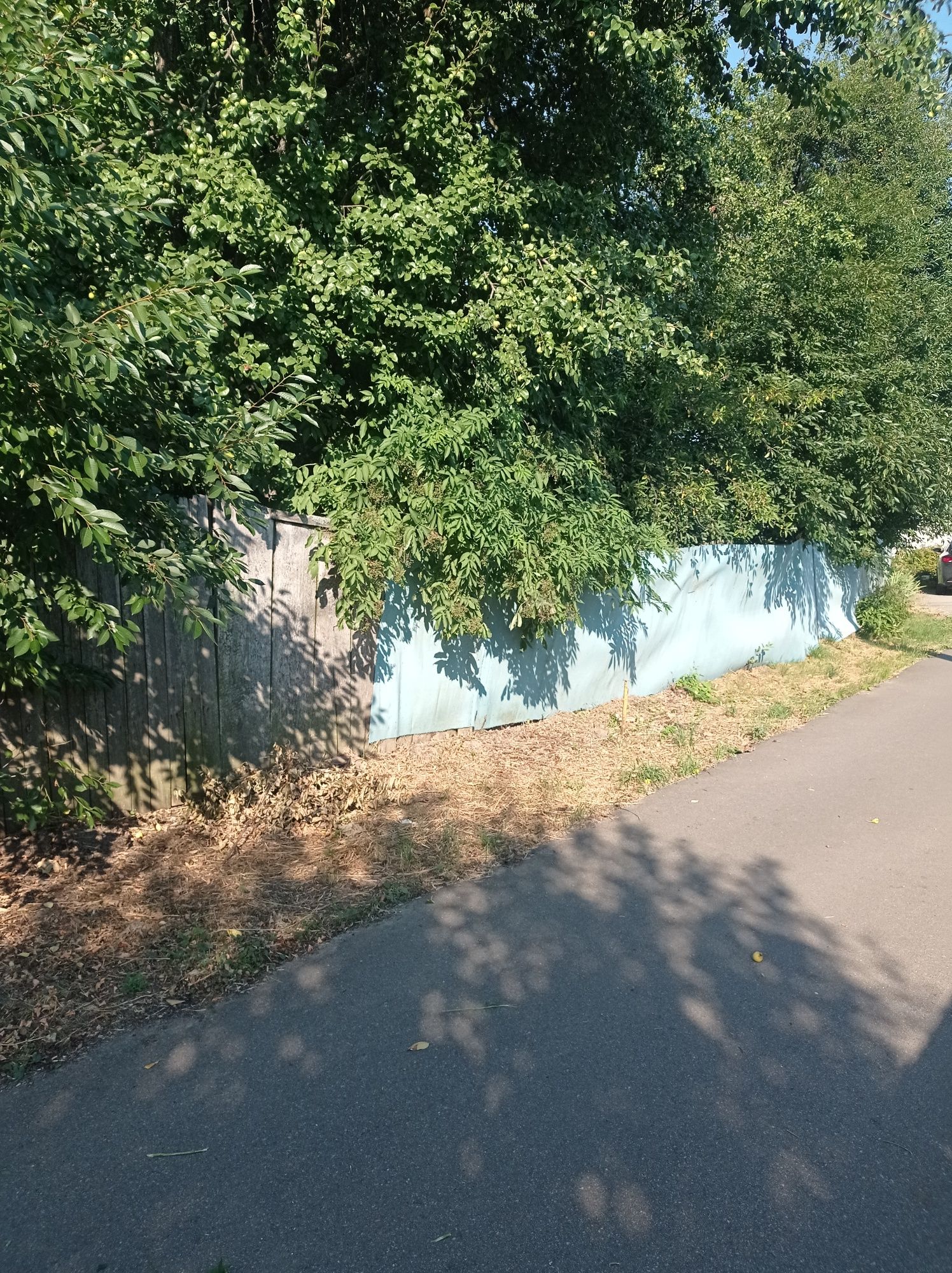 Продам земельну ділянку м Обухів вул  Шевченка 21 під забудову.