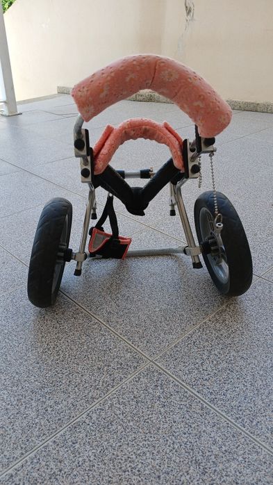 Cadeira de rodas cão