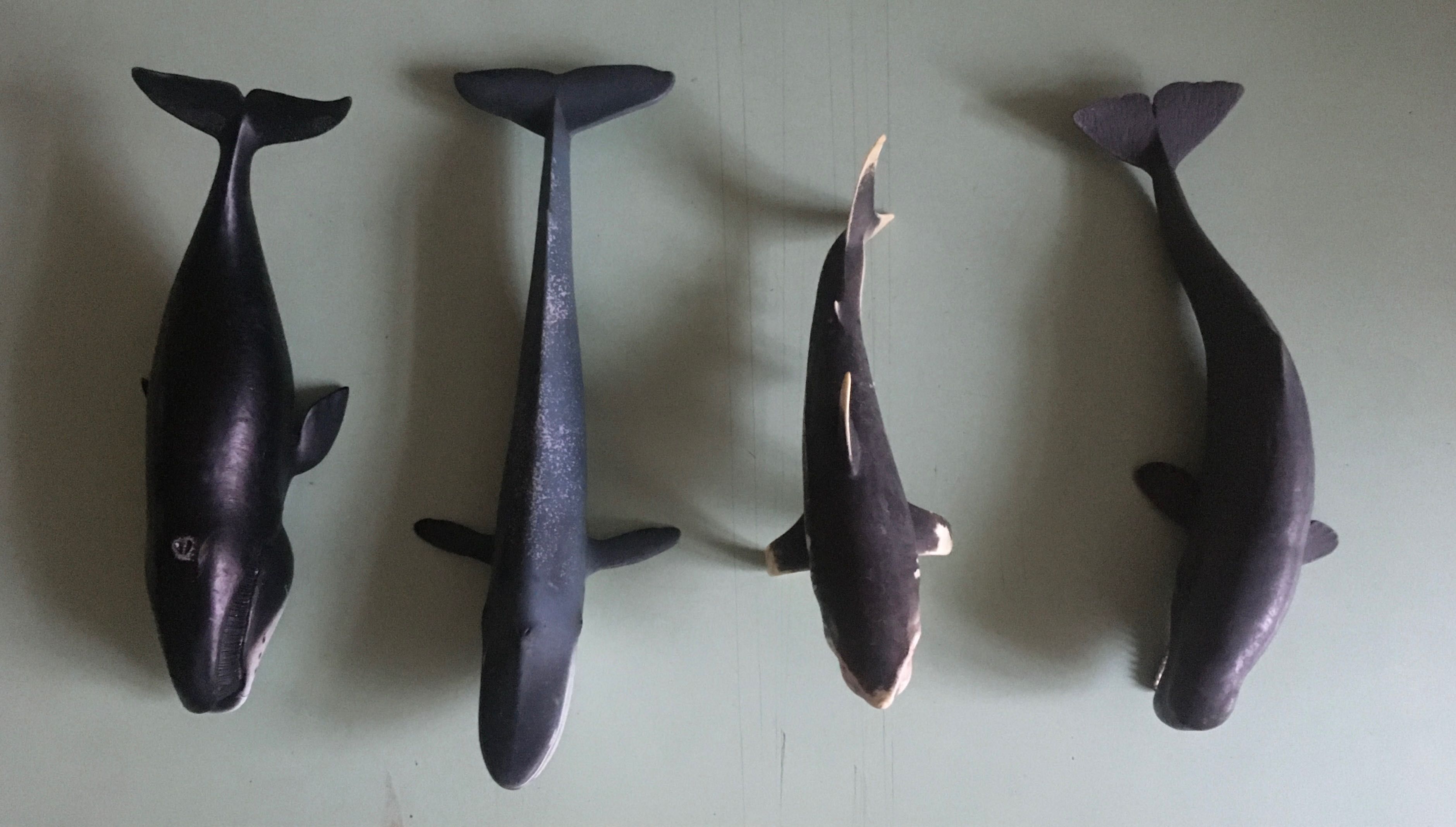 figurki schleich zwierzęta morskie 4 sztuki