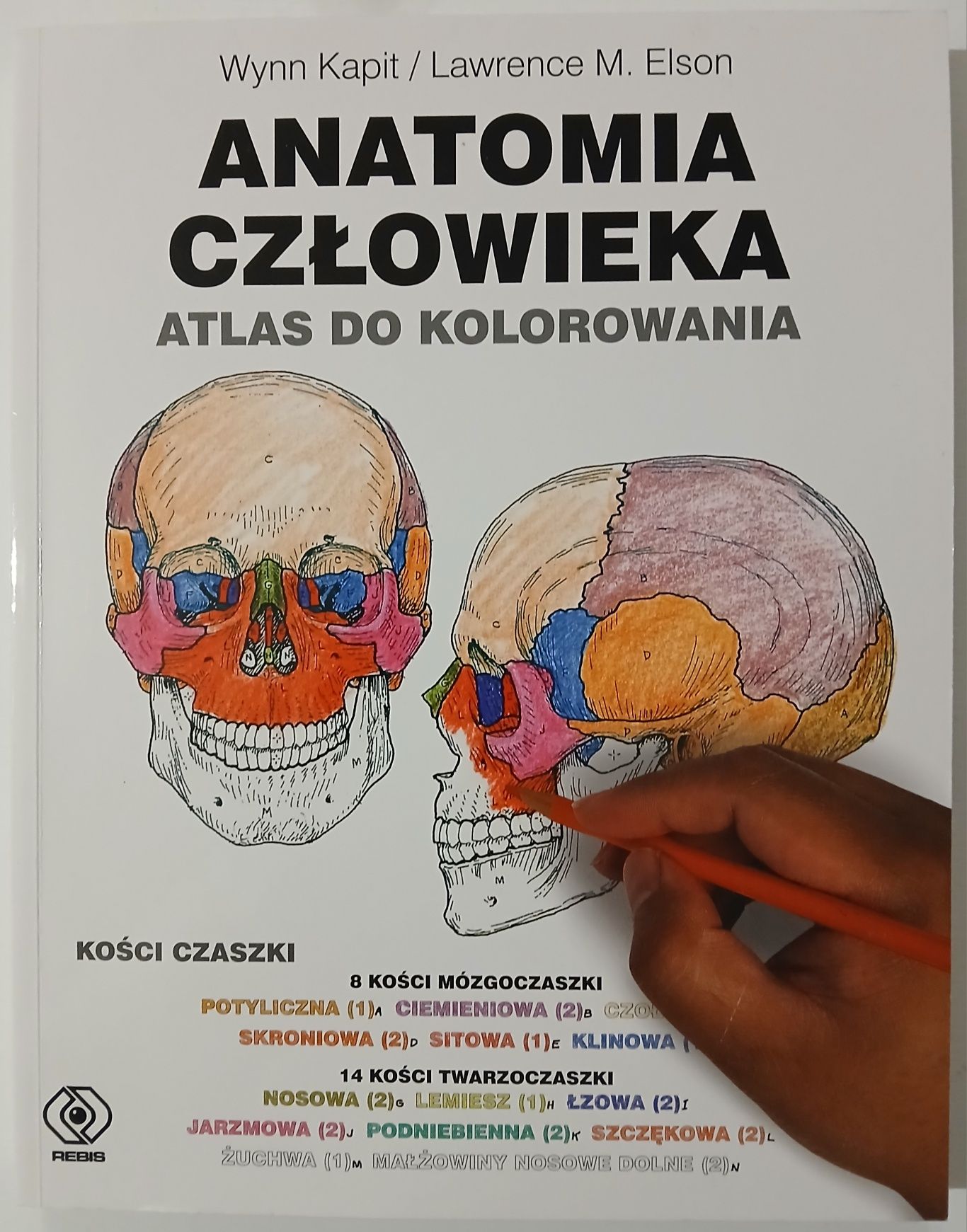 Anatomia człowieka atlas do kolorowania