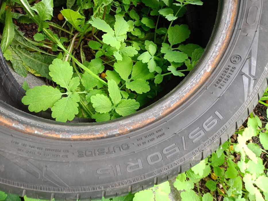 Opony Nokian wetproof 195/50R15