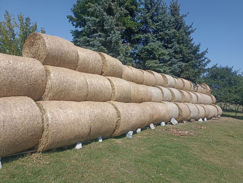 Słoma Baloty 120 x 120