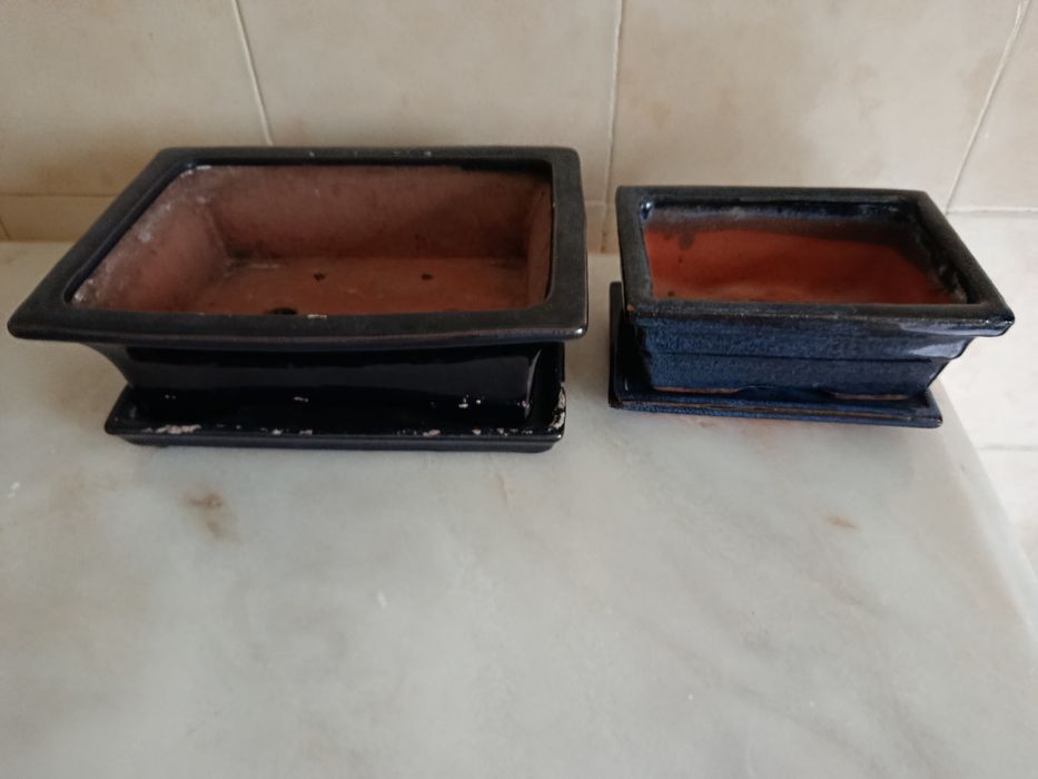Vasos para bonsais azuis escuros cada um com o respectivo prato