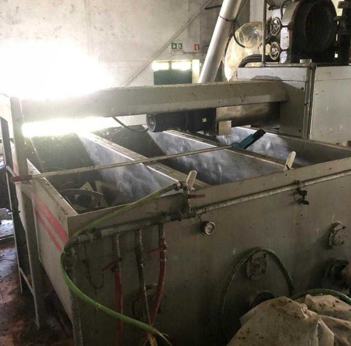 Conjunto de 3 Batedeiras para Lagar de Azeite