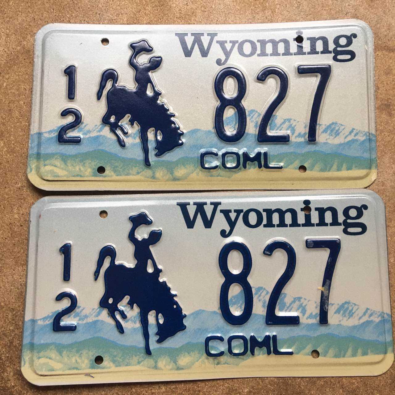 Парный автомобильный номер американский США USA Wyoming Вайоминг пара