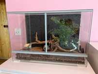 Terrarium z wyposażeniem