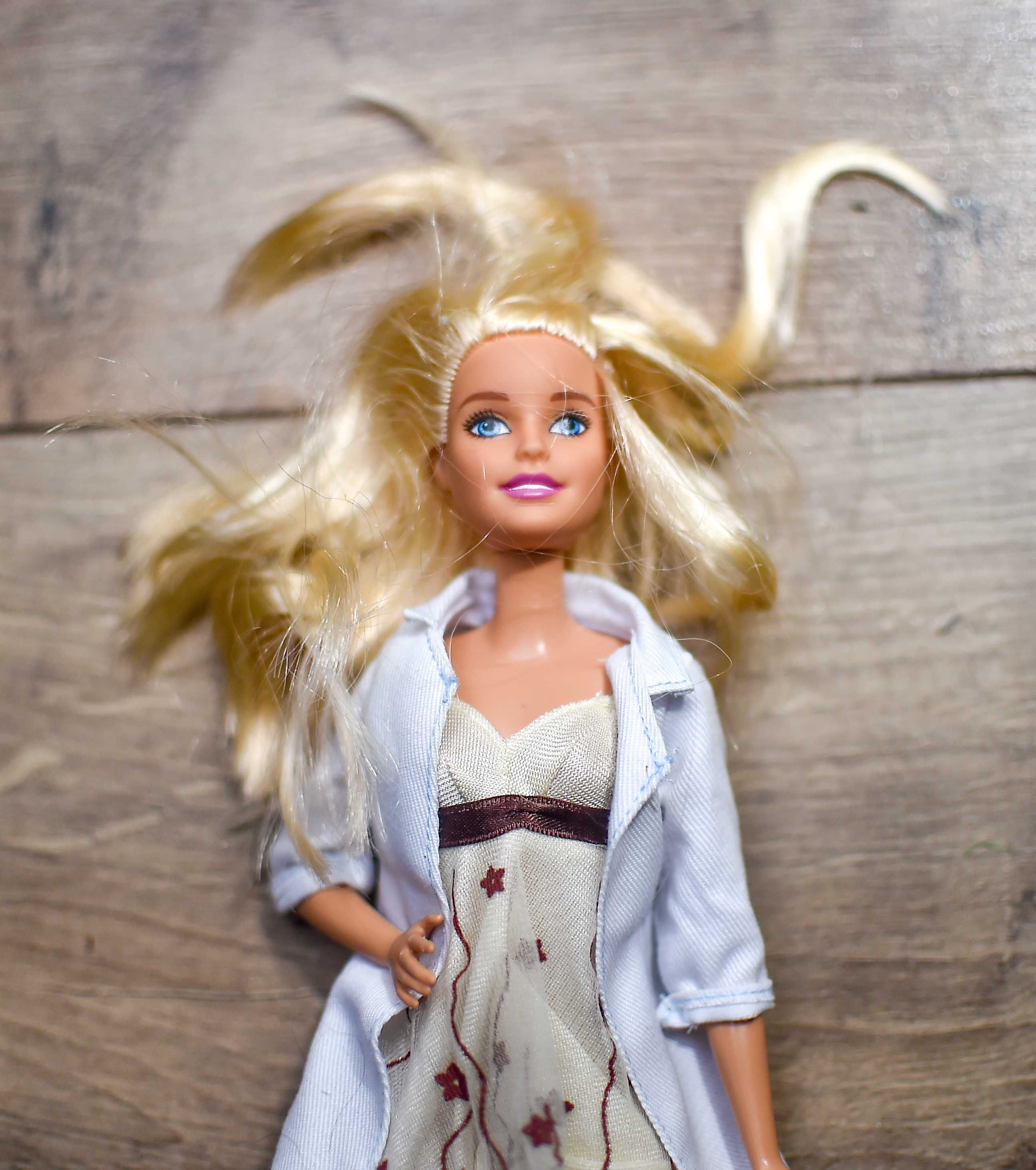 Lalka Barbie (18)