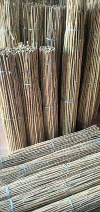 Canas de bambu nacional