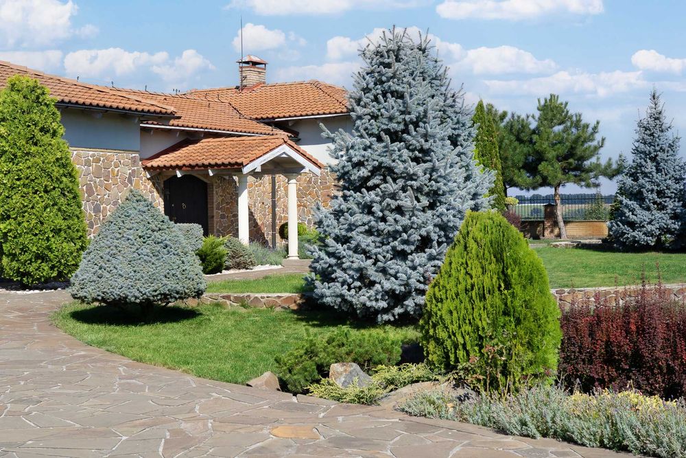 ID 560. Без %. Будинок з неймовірним краєвидом, с. Хлепча