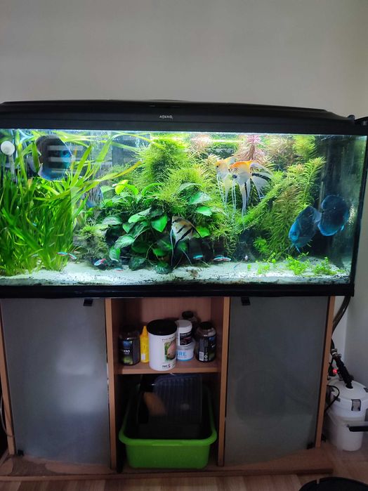Akwarium 240 litrów