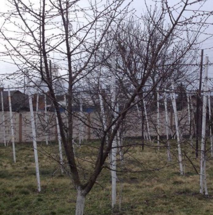 Продам цегляний будинок в Івано-Франківській області