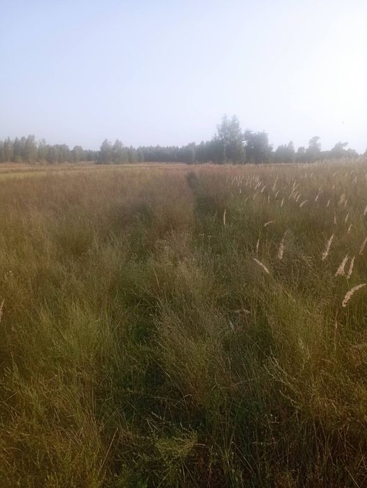 Продаю земельну ділянку від власника