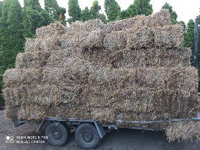 Sprzedam siano mieszanka lucerki i trawy