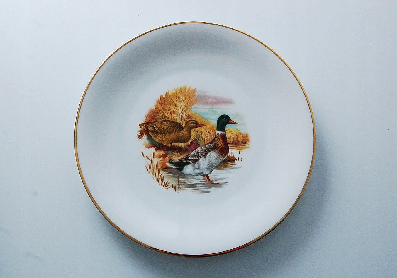 piękna patera talerz porcelanowy kaczka krzyżówka