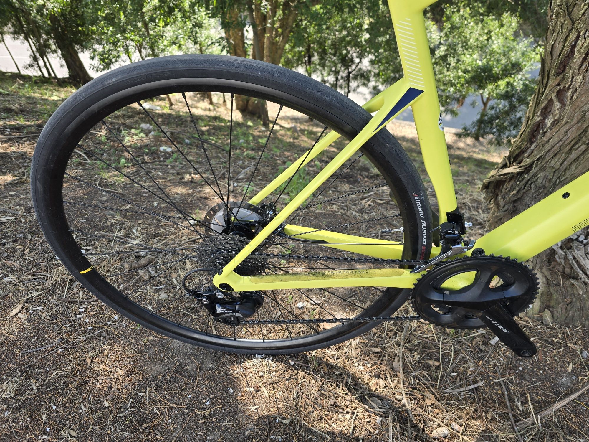 Bmc de estrada disco carbono