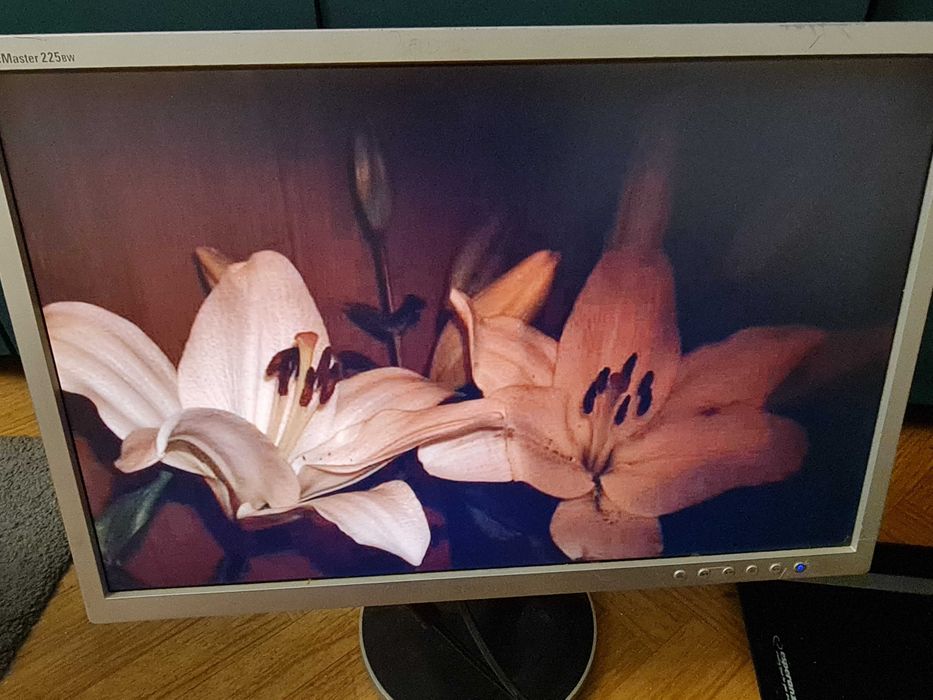 Monitor Samsung 22"