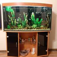 аквариум с тумбой 300 литров