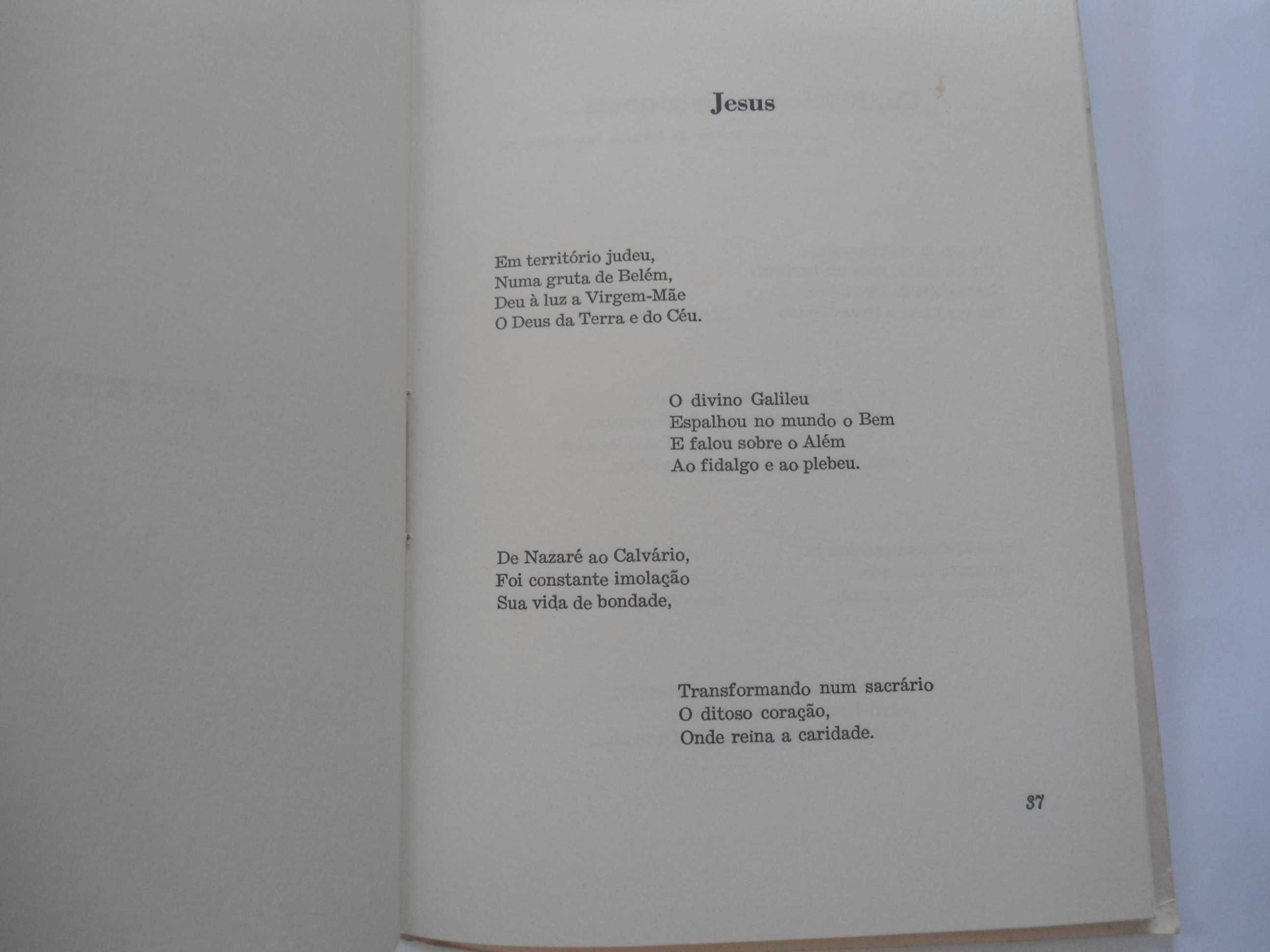 Lucubrações dum poeta por João da Silva (Sílvio)