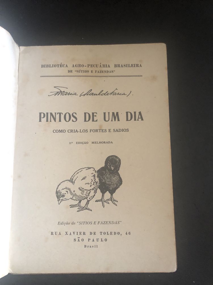Pintos de um dia - edicao Sitios e Fazendas