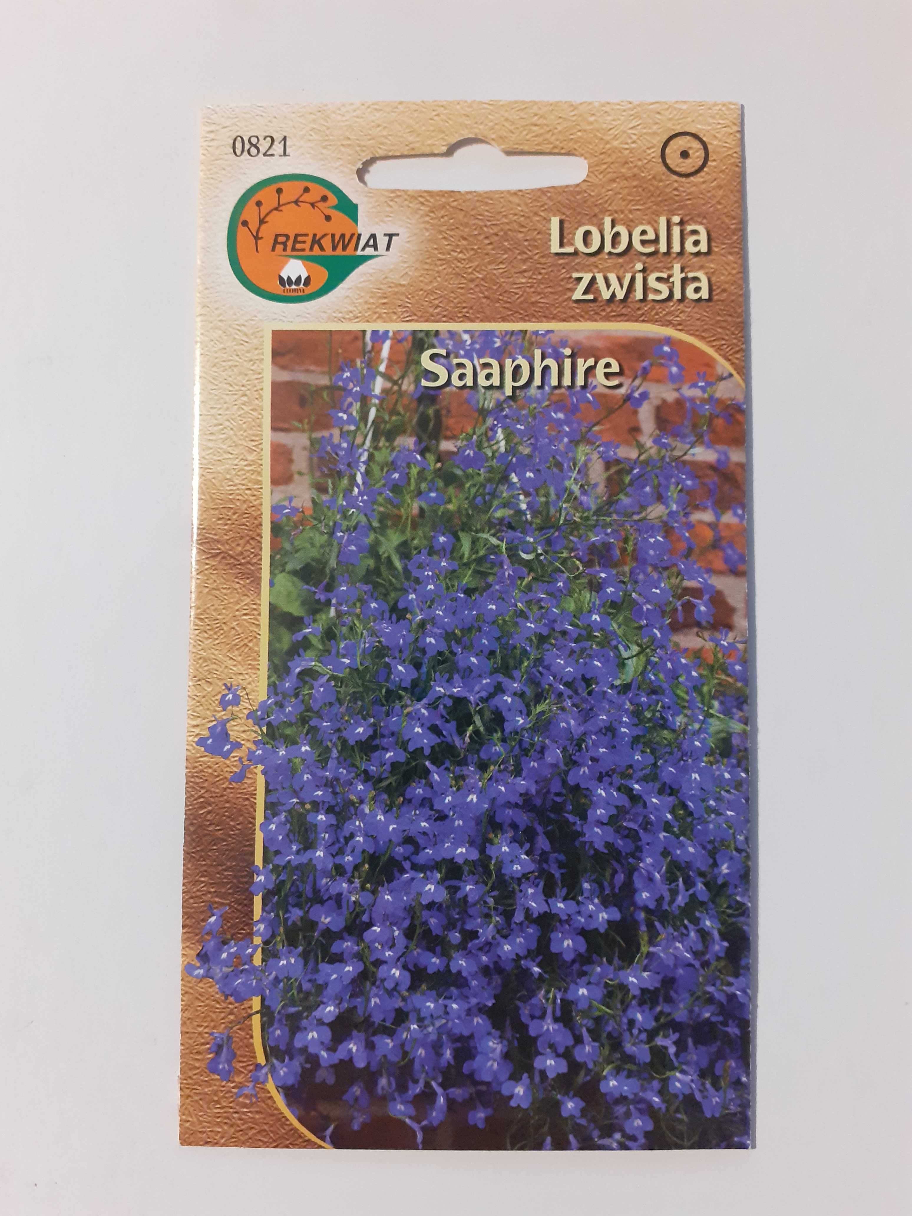 Lobelia zwisła niebieski