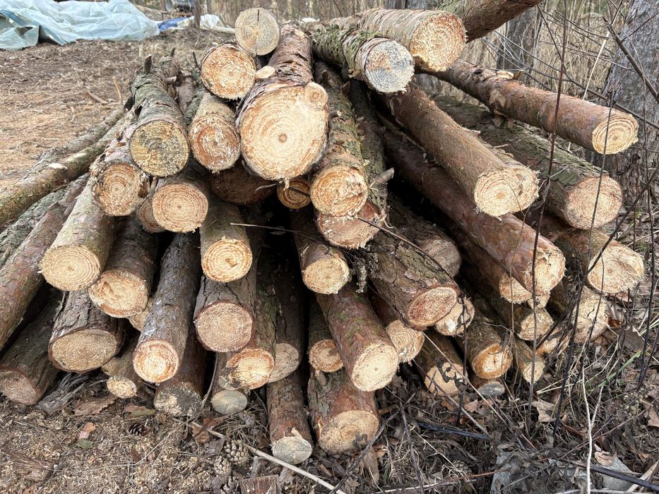 Stemple budowlane każda długość,możliwy dowóz.