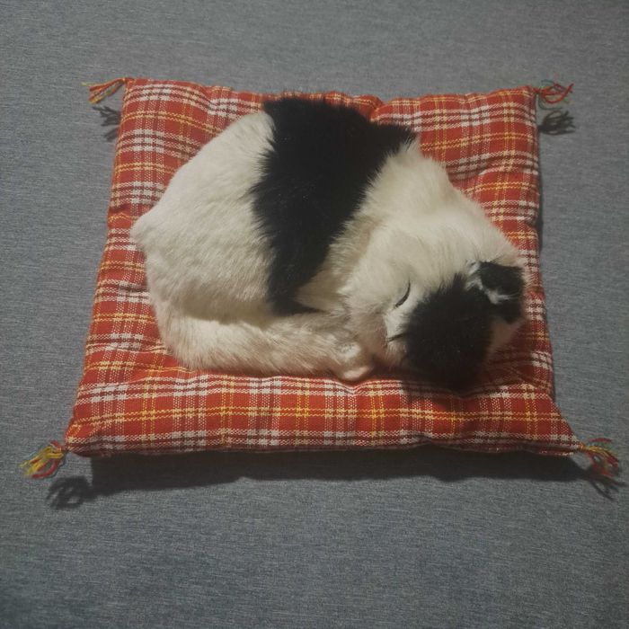 Zabawka dla dzieci Śpiący kotek pluszowa zabawka-upominek 24×20 cm