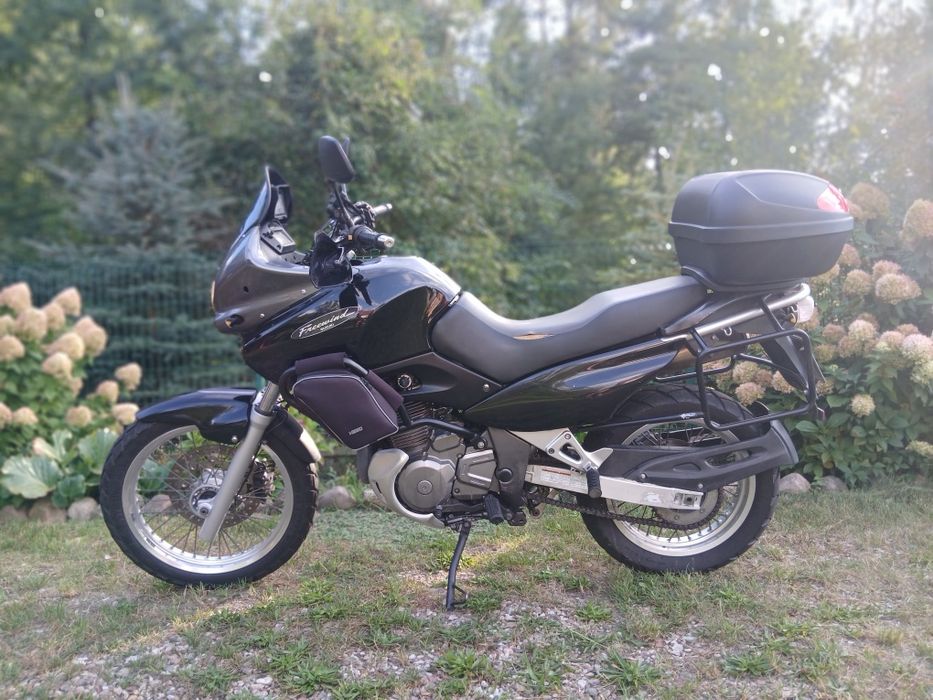 Suzuki xf 650 Freewind