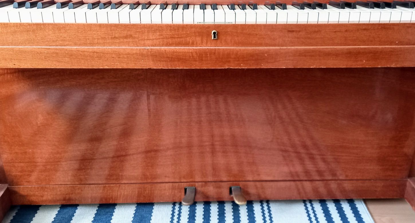 Pianino Calisia w dobre ręce