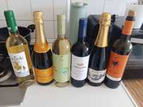 Bebidas ,vinho e espumante