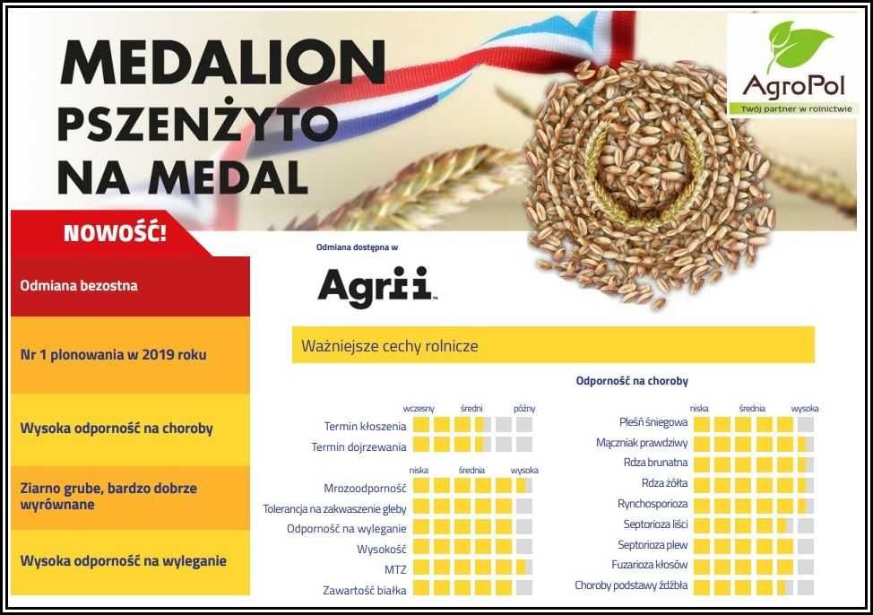 Pszenżyto Ozime MEDALION - Odmiana Bezostna Na Słabe Gleby - Nasiona