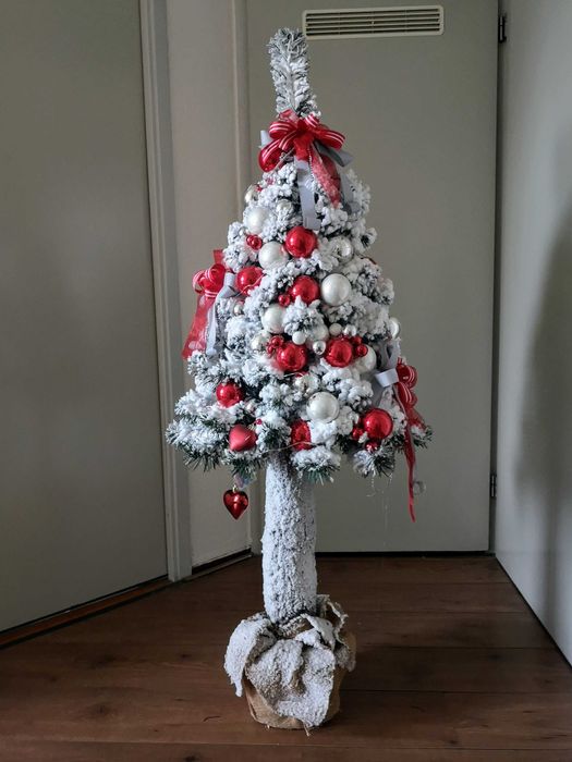 Choinka ośnieżona na pniu