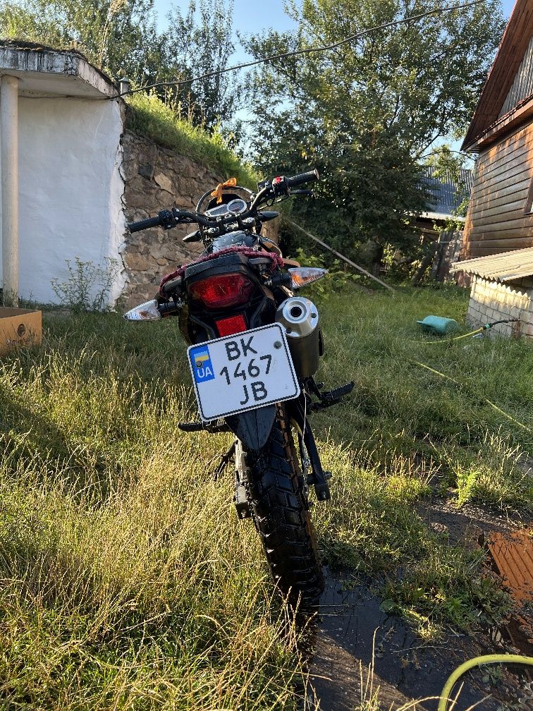 Продам лонсін 200 прус