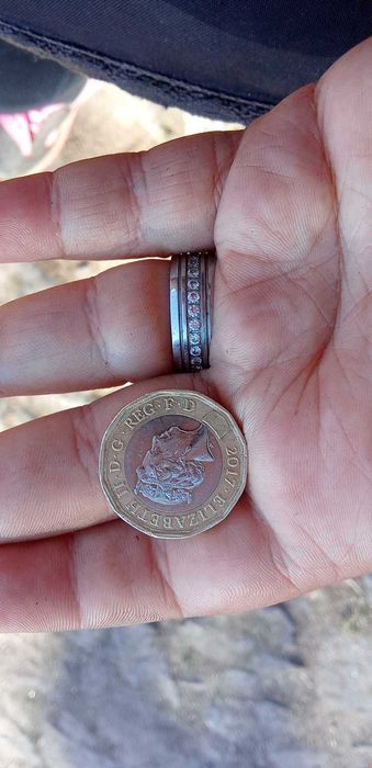 Moeda One pound rainha Elizabeth