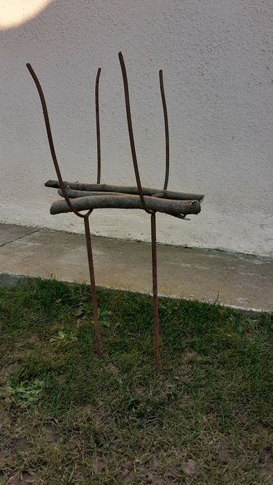 Stojaki  do zbioru rabarbaru.