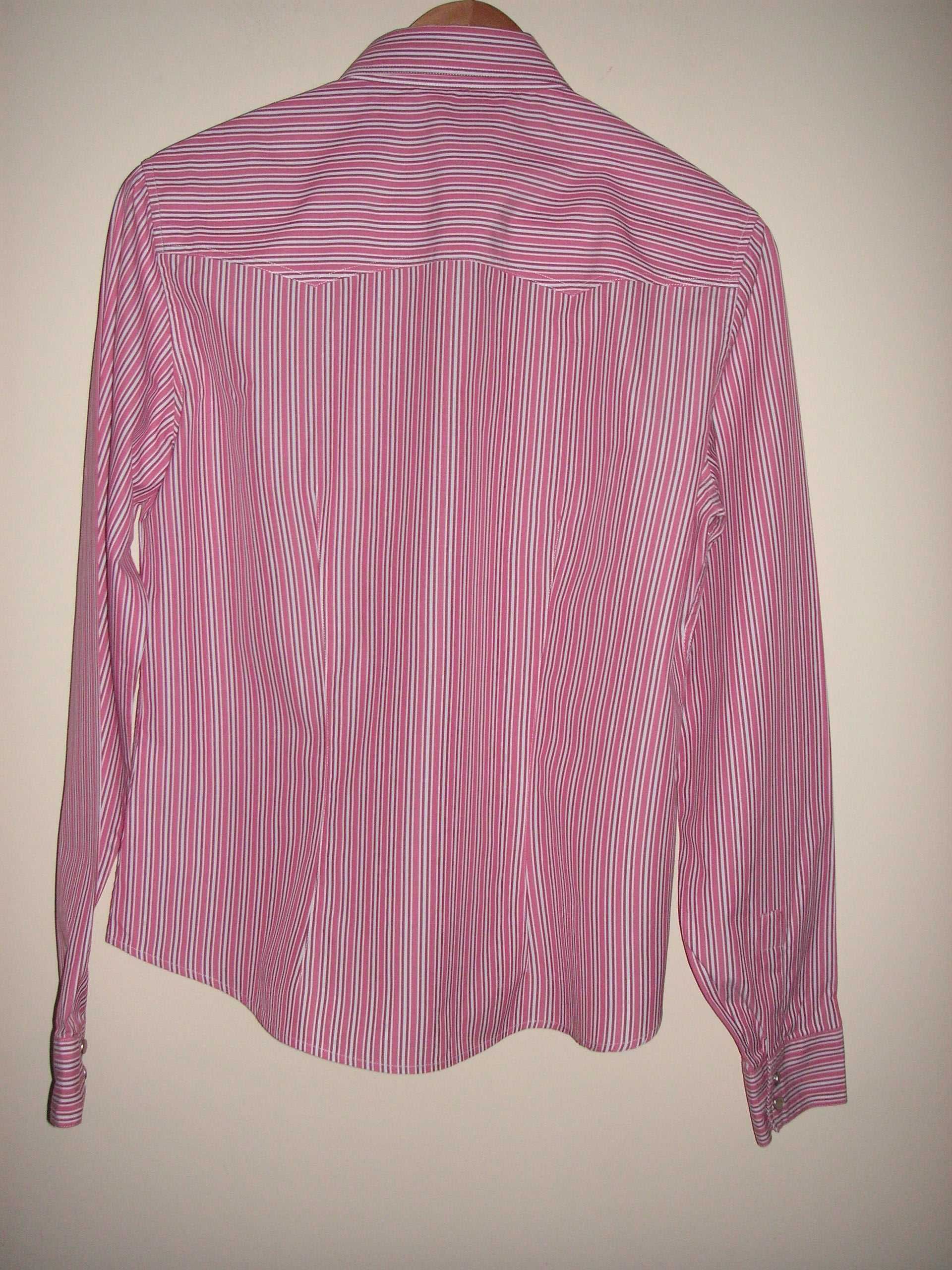Camisa / Blusa Massimo Dutti e Pullover Lã Quebramar ( Impecáveis )