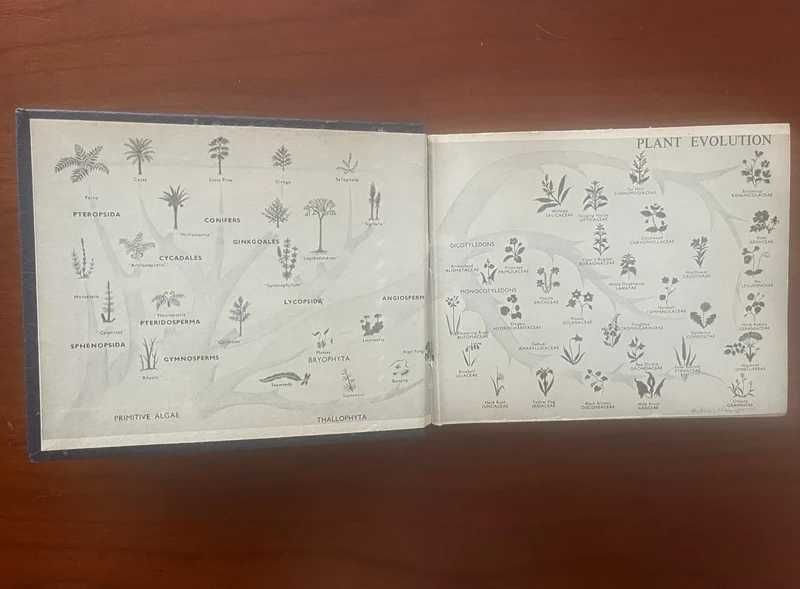 The Dumpy Pocket Book for Biologists