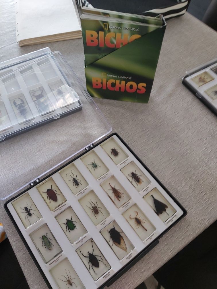 Coleção Dos Bichos(2 caixas completas e uma semi)