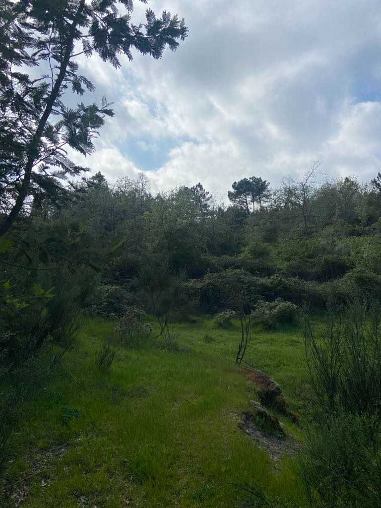 Terreno para venda junto à barragem de Bouça Cova