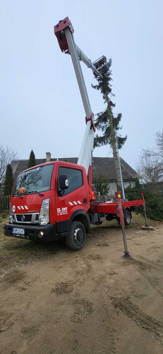 Wycinka drzew . Frezowanie pni